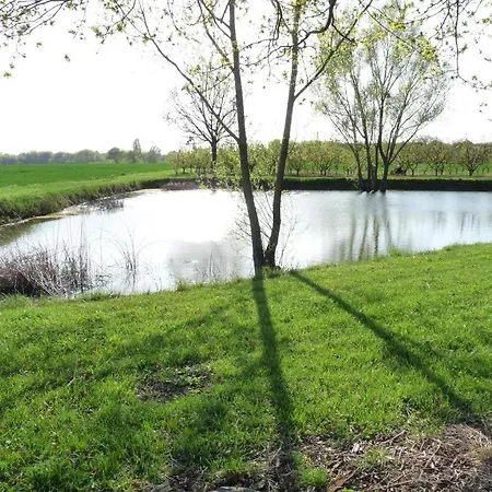 Hébergement de vacances La Maison D'angel Coussay-les-Bois