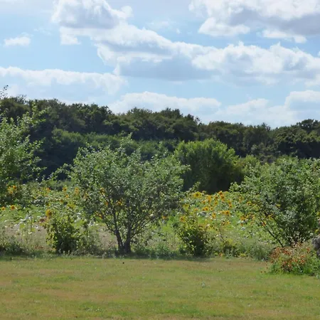 La Maison D'angel * Coussay-les-Bois