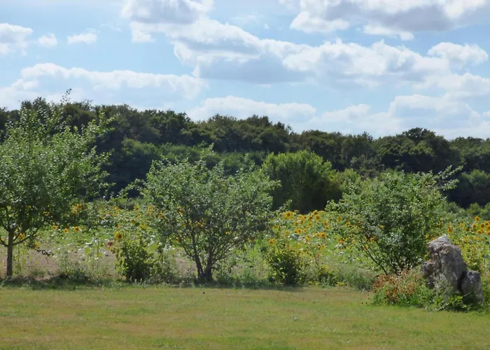 La Maison D'angel * Coussay-les-Bois